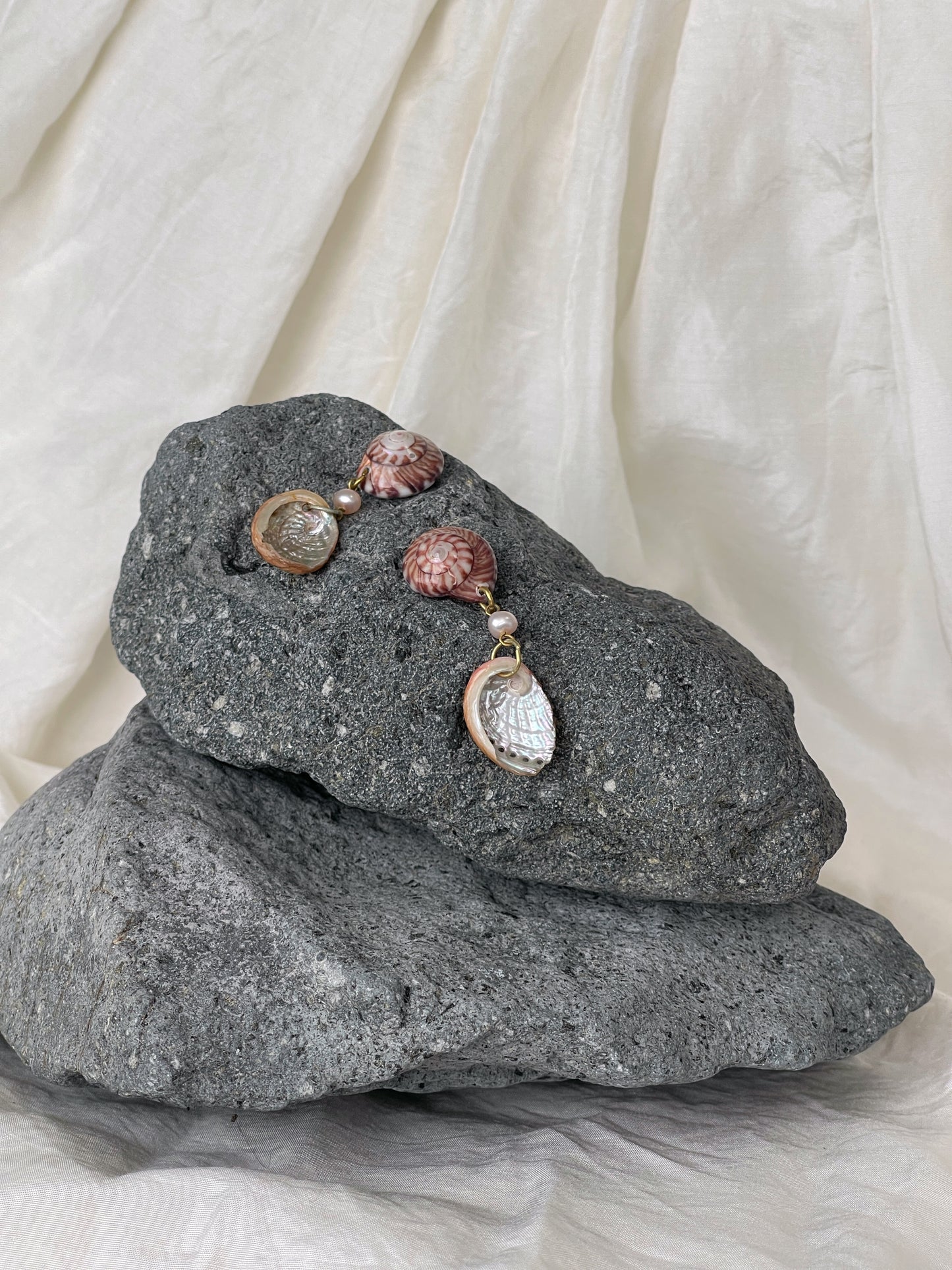 Mini Paua & Wheel Shell Earrings