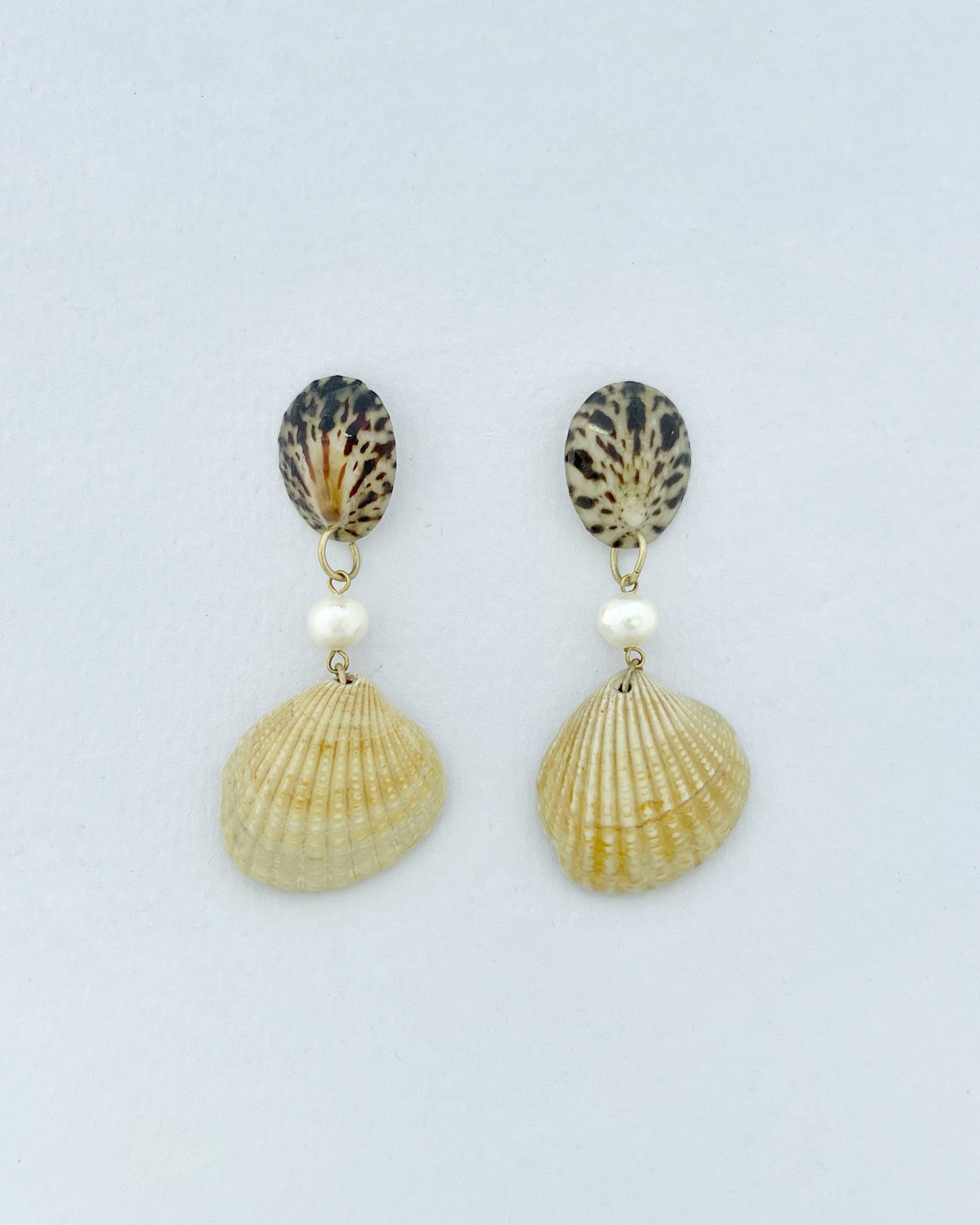 Shell earrings