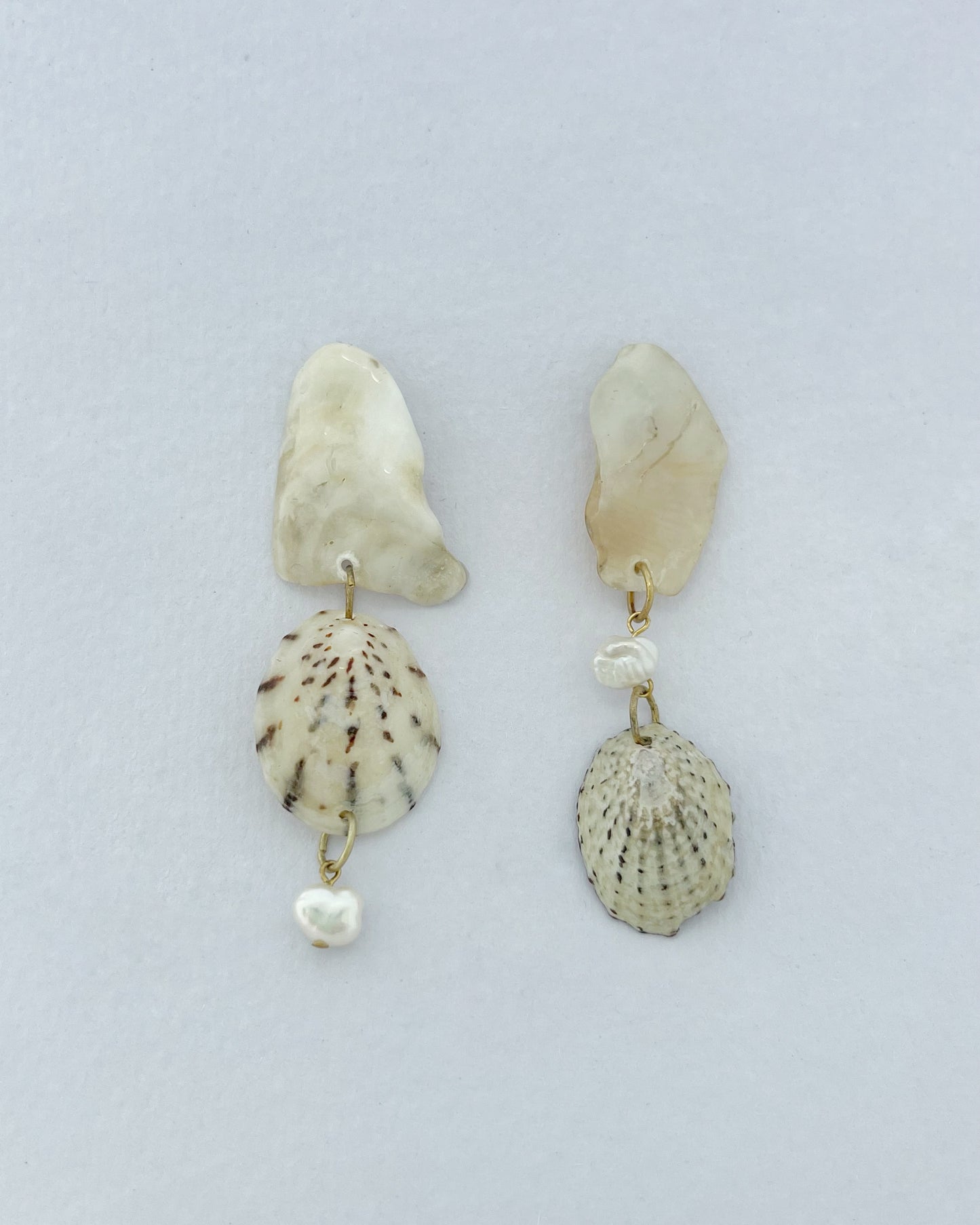 Shell earrings