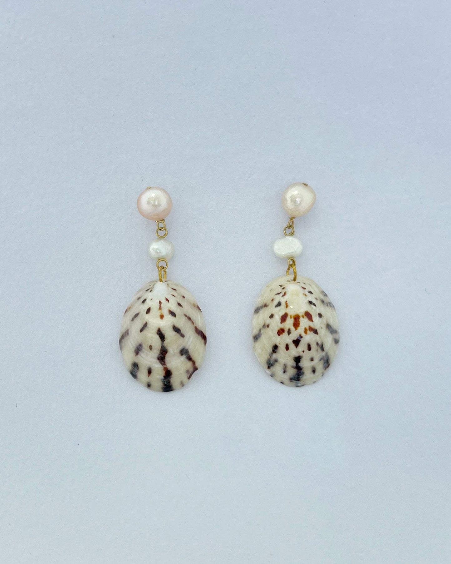 Shell earrings