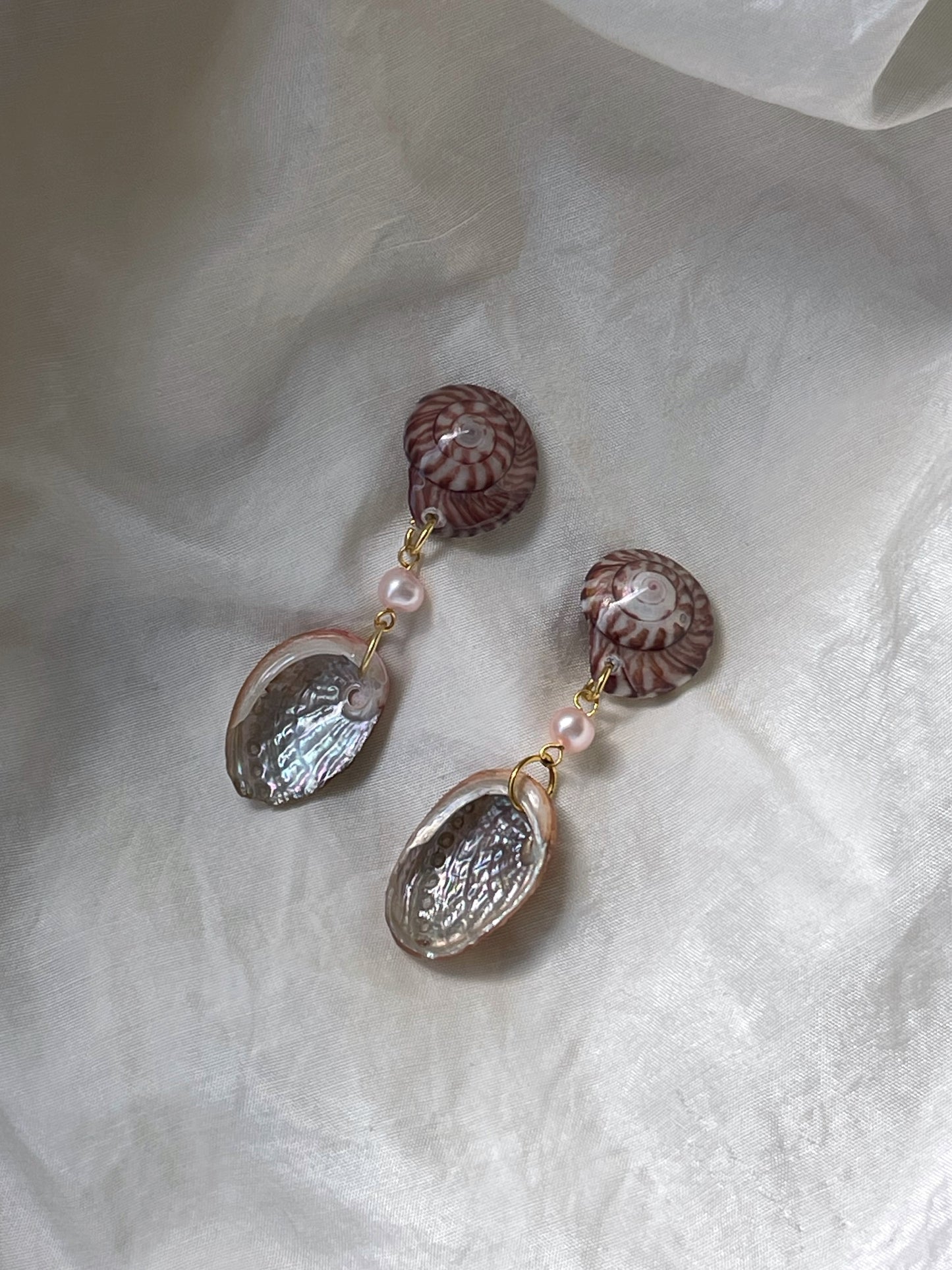 Mini Paua & Wheel Shell Earrings