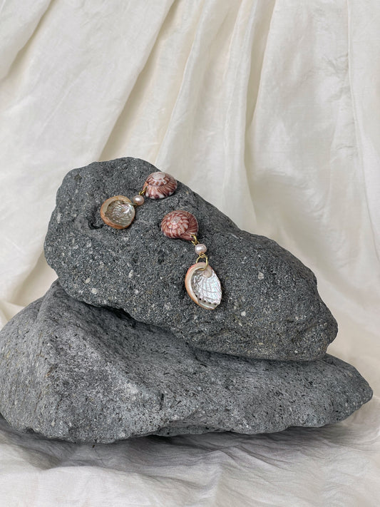 Mini Paua & Wheel Shell Earrings