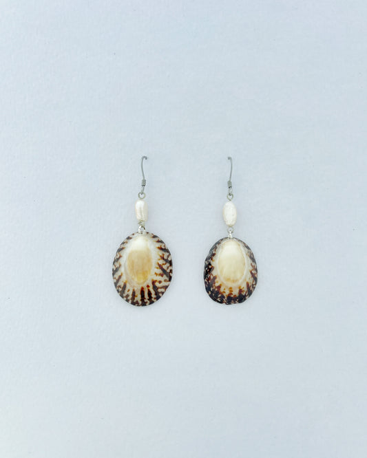 Shell Earrings