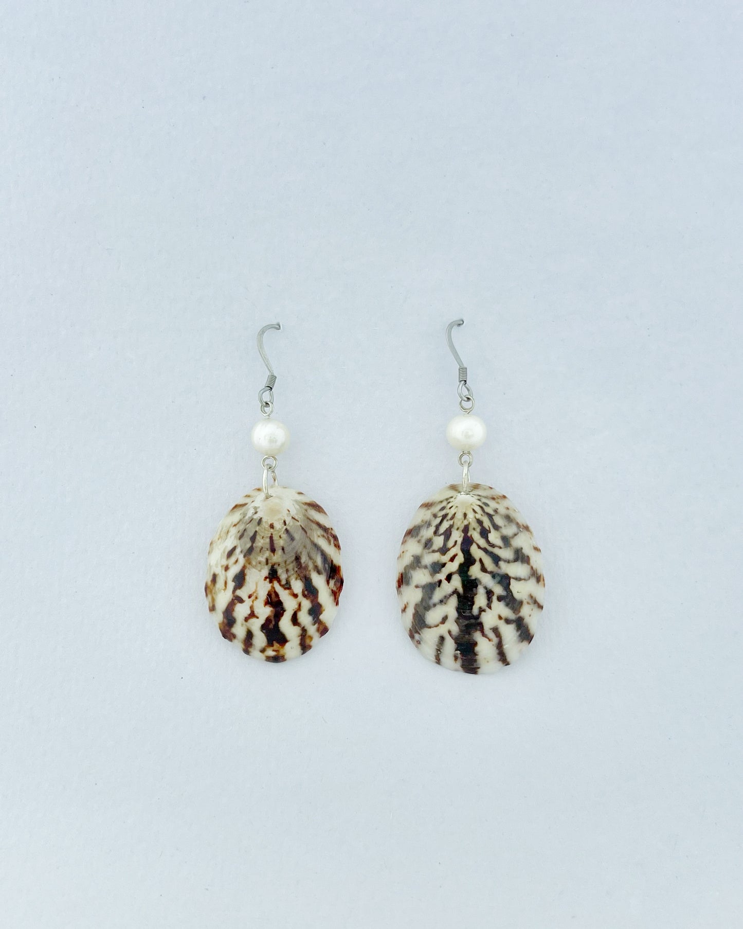 Shell Earrings