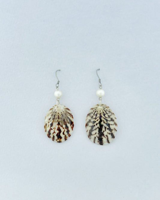Shell Earrings