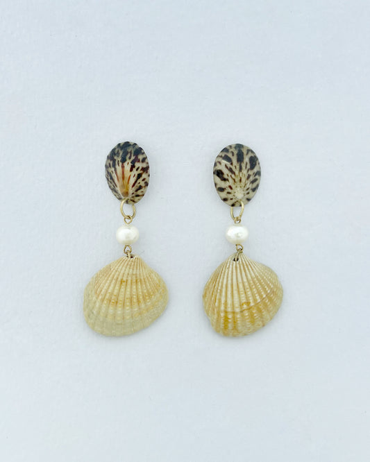 Shell earrings