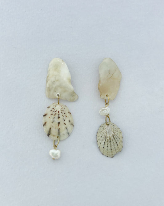 Shell earrings