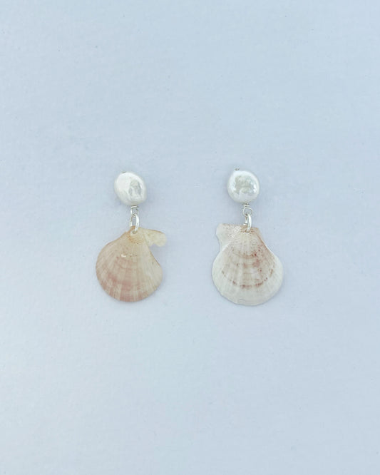 Shell Earrings